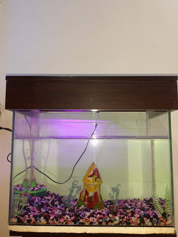 sale aquarium 0