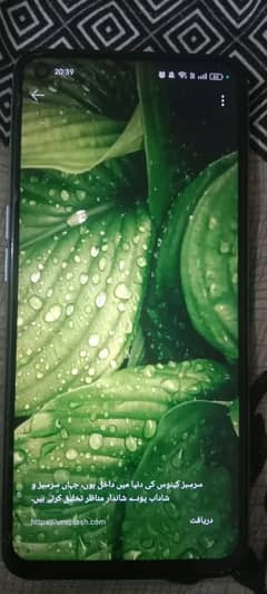 oppo a96 mobile for sell