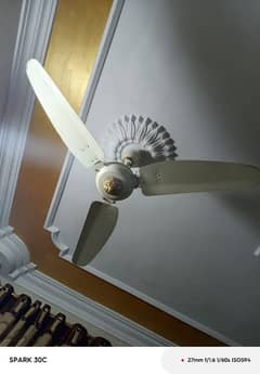 royal ceiling fans