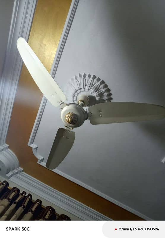 royal fancy ceiling fans 0