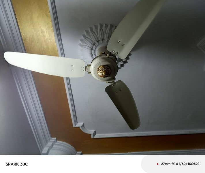 royal fancy ceiling fans 1