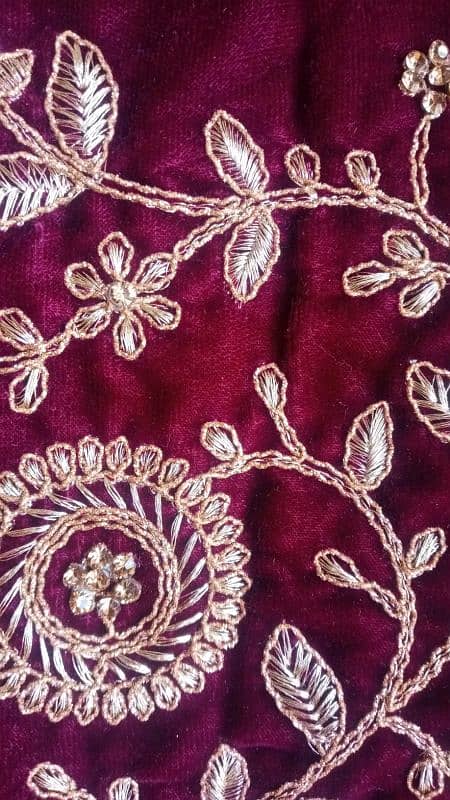 Indian bridal dress velvet 2