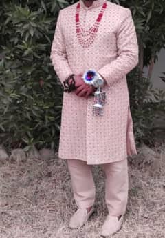 Wedding Sharwani