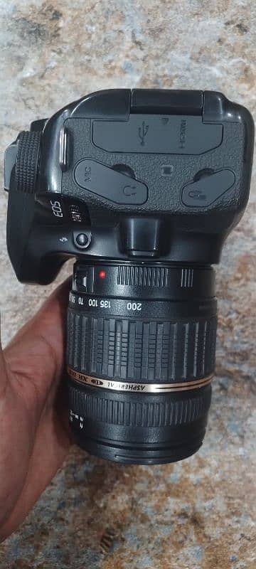 canon 80d with 18 200 tamron lens 1