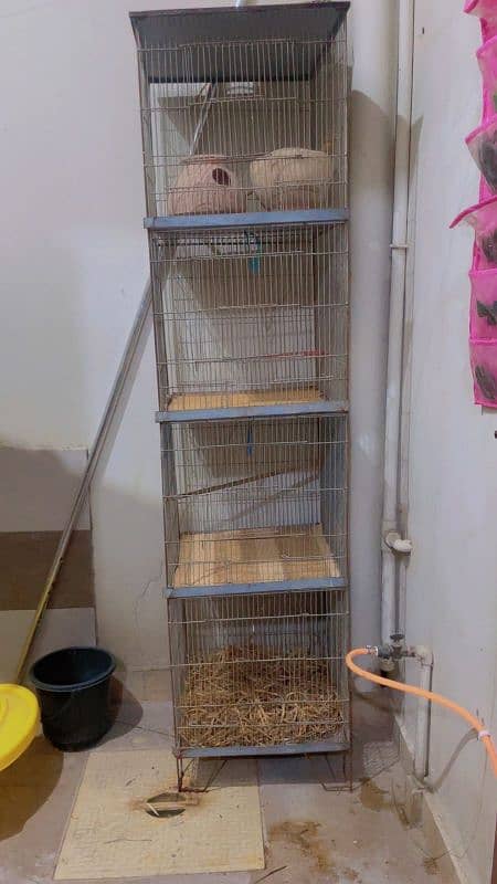 Cage For Sale ( 4 Portion ) Neat n Clean Cage 0