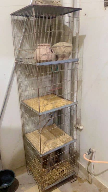 Cage For Sale ( 4 Portion ) Neat n Clean Cage 2