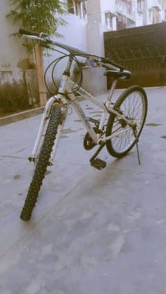 Bicycle