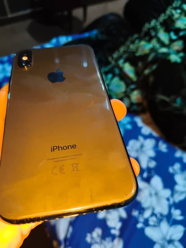 Iphone XS 256 gb 0