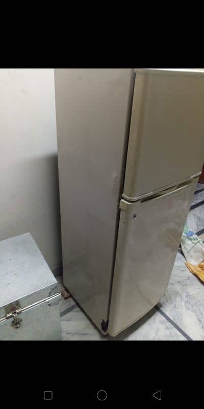 Fridge Medium Size 5