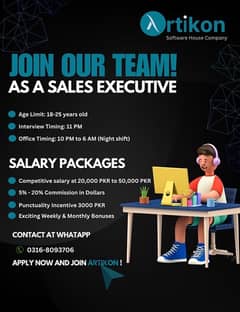 Sales Executive