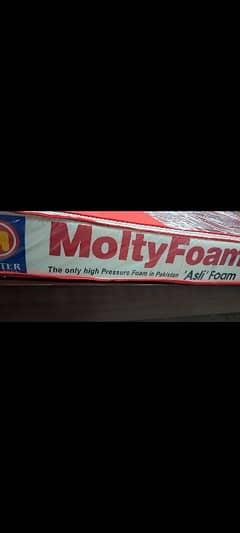 molty