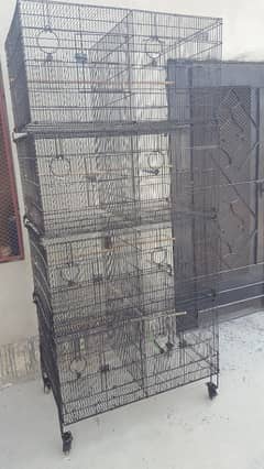 cage / birds cage / parrot cage / folding cage/used cages/birds pinjra