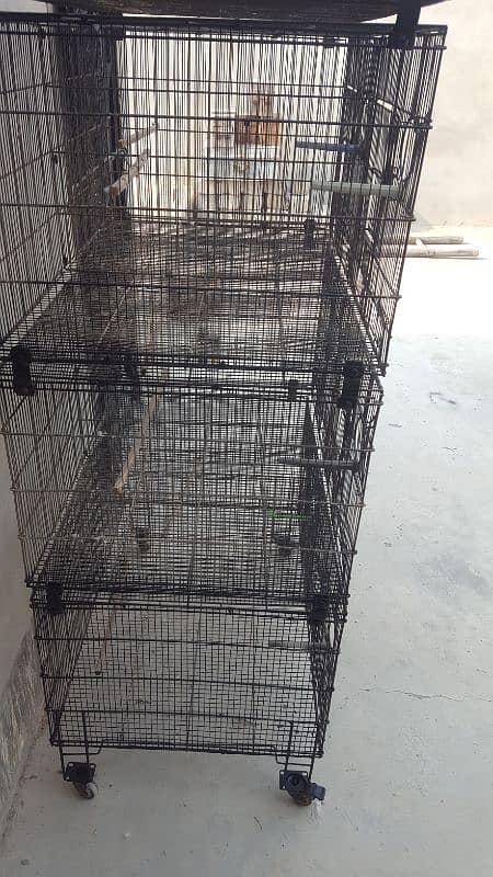 cage / birds cage / parrot cage / folding cage/used cages/birds pinjra 2