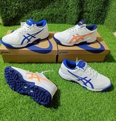 Asics Cricket Shoes