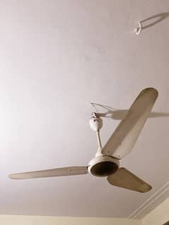 ceiling fan