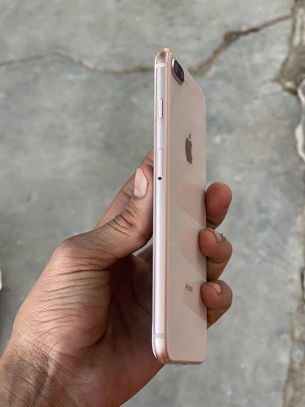 iPhone 8 Plus 256gb pta approved offical 0