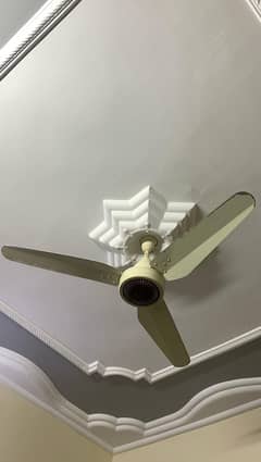 Urgent Selling Fan