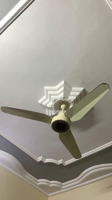 Urgent Selling Fan 0