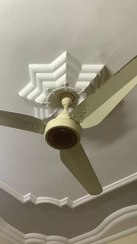 Urgent Selling Fan 1