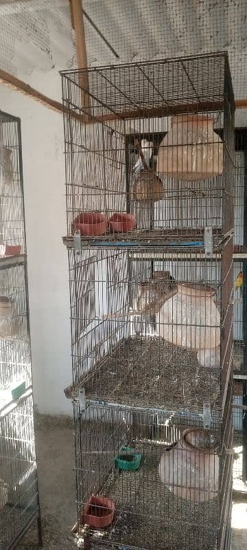 cages available in very good condition 0