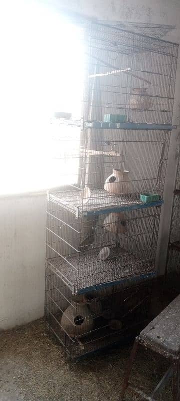 cages available in very good condition 1