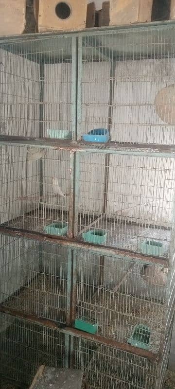 cages available in very good condition 2