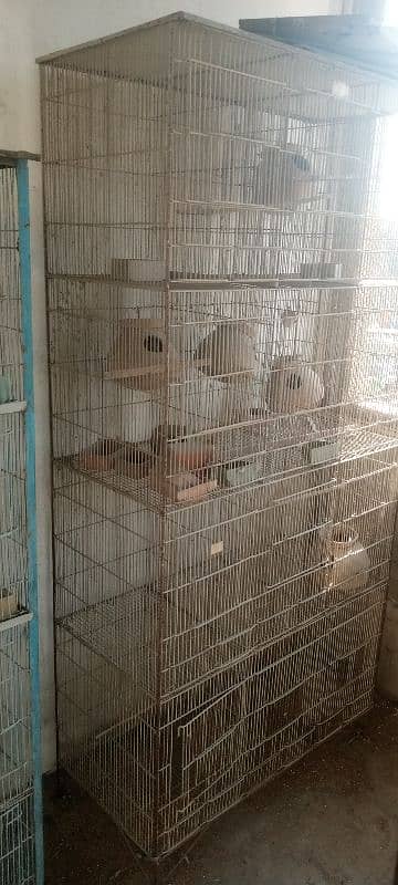 cages available in very good condition 3