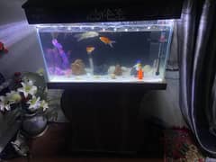 Aquarium for sale urgent