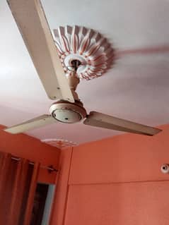 fan for sale