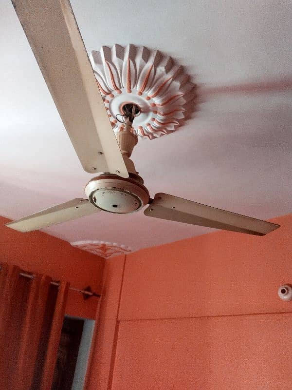 fan for sale 0