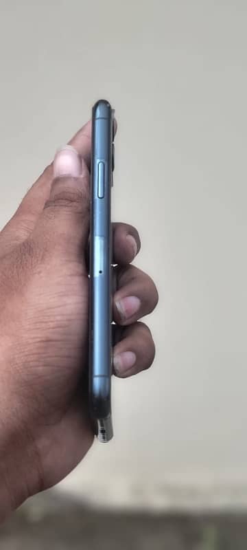 iPhone 11 dual pta 4