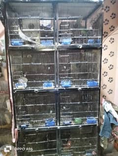 love bird cage look like a new condition 10 by 9.5 number 03238475992