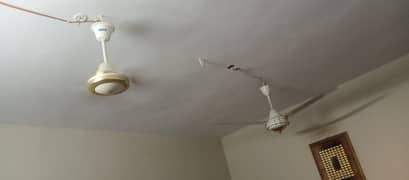 Two Ceiling Fans For sell