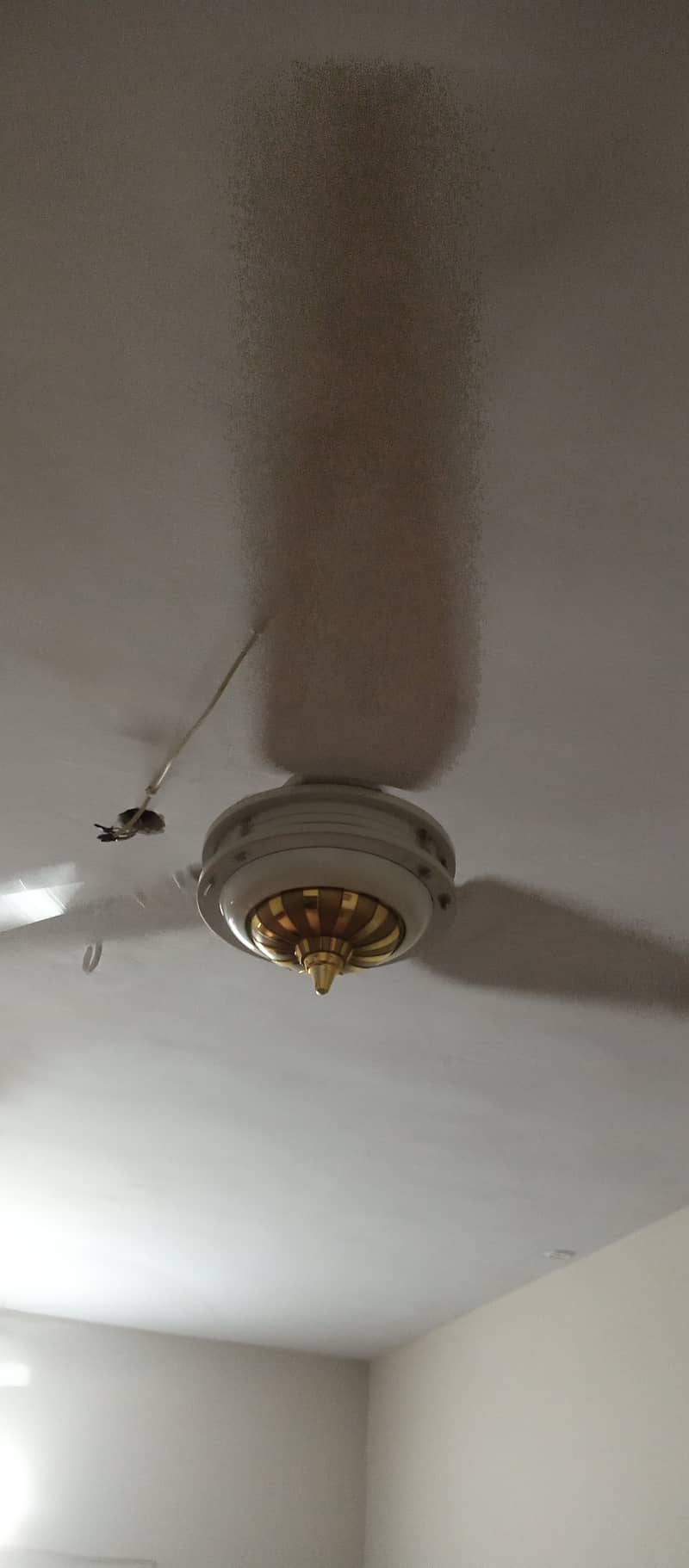 Two Ceiling Fans For sell 2