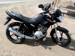 Yamaha ybr lush condition 2020 model /0310/8850969/