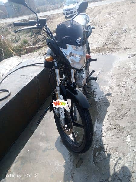 Yamaha ybr lush condition 2020 model /0310/8850969/ 4