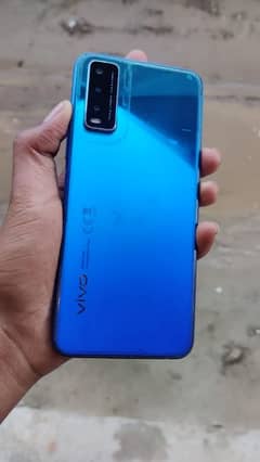 vivo