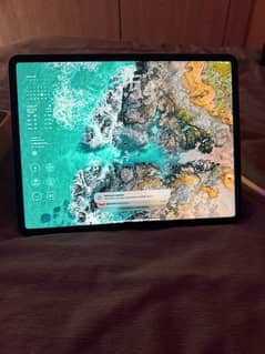 ipad pro m1 12.9 inch