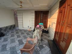 Gorgeous 8 Marla Upper Portion For rent Available In Bahria Orchard Phase 4