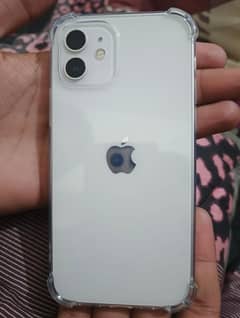 iphone 12 white colour