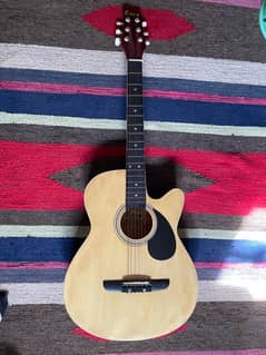 Acoustic Guitar (Econ) with Guitar Case (Yamaha)