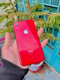 Iphone XR Non pta