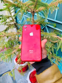 Iphone XR Non pta