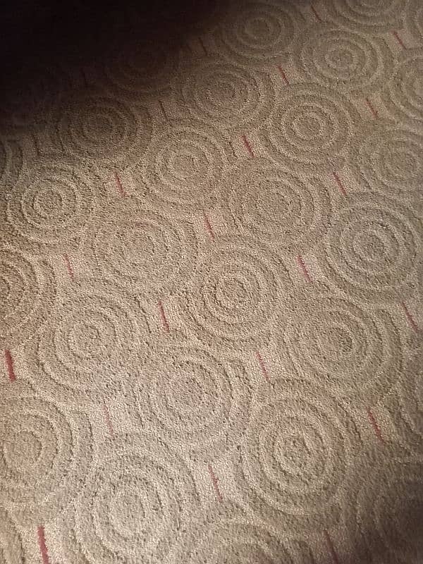 ak adad room carpet 0