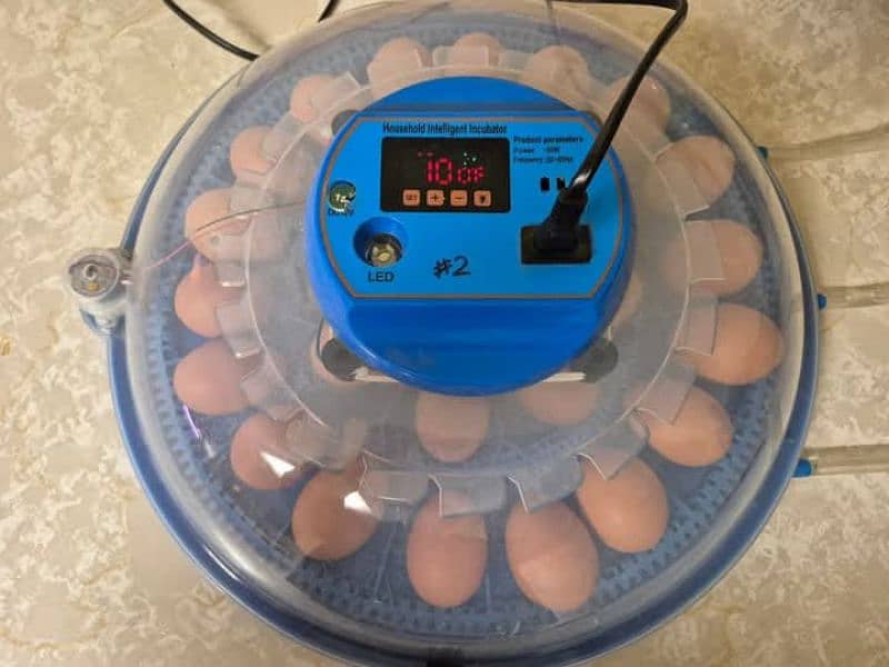 eggs incubater 0