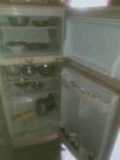 SELLING PEL FRIDGE