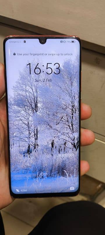 Huawei P30 Pro 8/128Gb 1