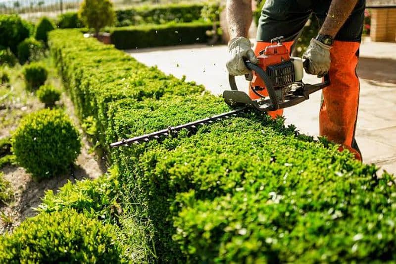 HEDGE TRIMMER MACHINE , BAR CUTTER MACHINE , PRUNER MACHINE 3