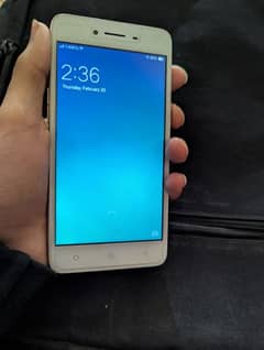 OPPO