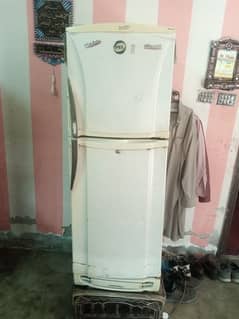 Pel Refrigerator For Sale